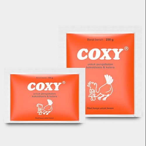 Coxy
